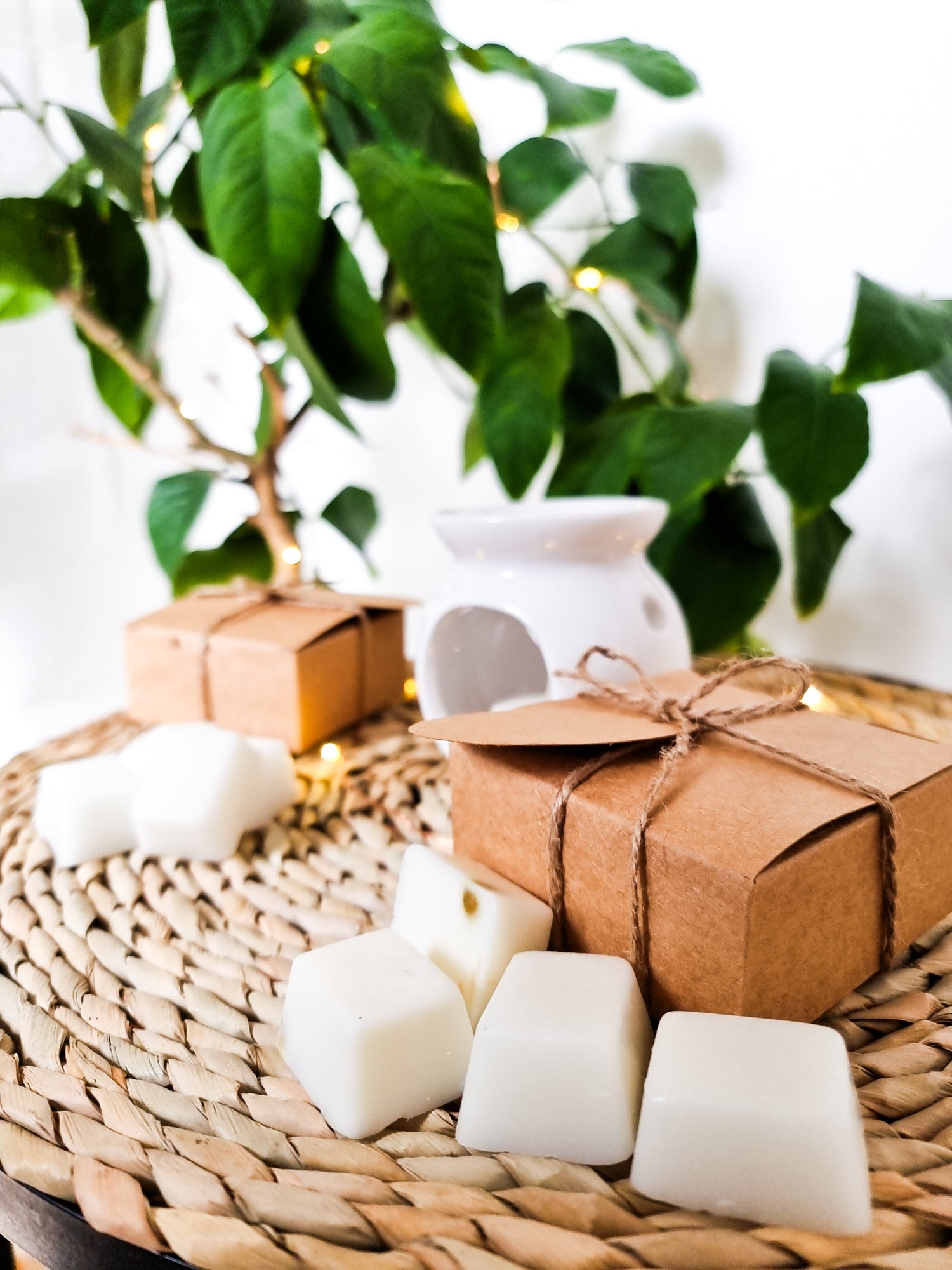 Soy Wax Melt Subscription Boxes