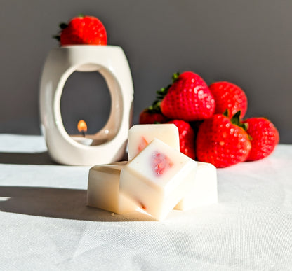 Modern Cute Ceramic Wax Melt Burner